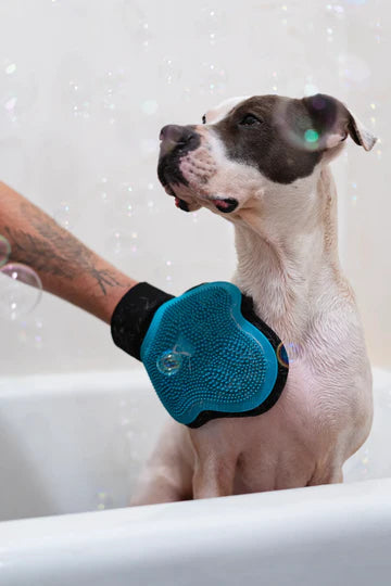Reversible Silicone Grooming Glove | Messy Mutts