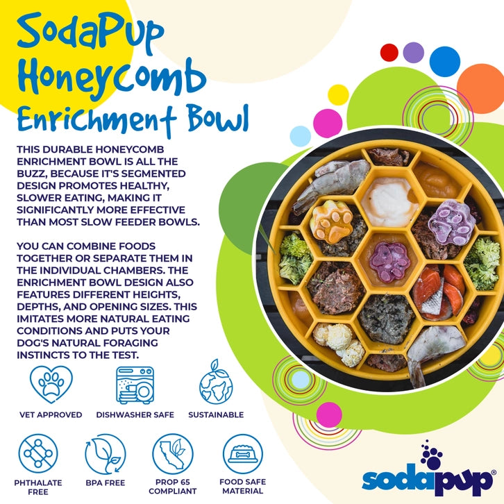 Soda Pup Blue Honeycomb Slow Feeder