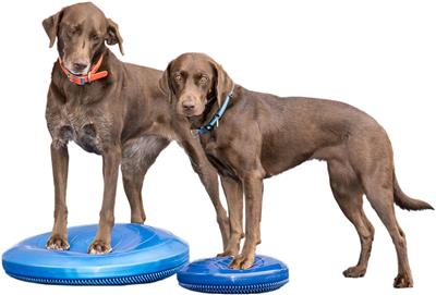 FitPaws Balance Discs