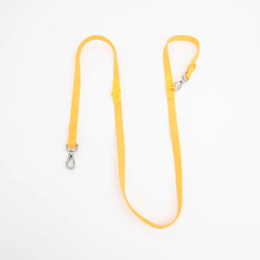 The Fritz Leash | Mango