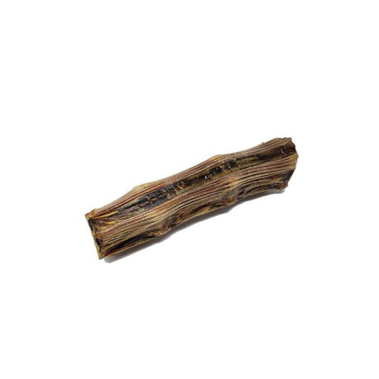 KangaROO Tail | Home Range