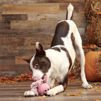 Hambone Pig Super Chewer | BARK