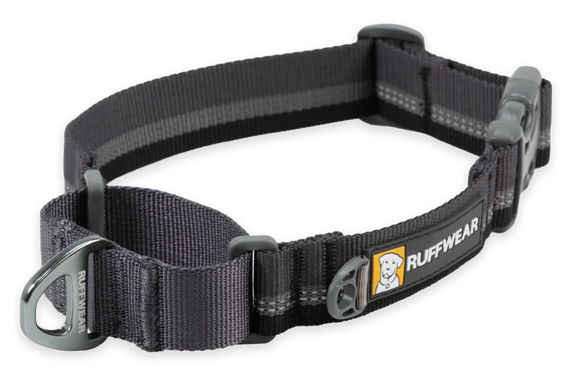 Web Reaction Martingale Dog Collar Balsalt Gray | Ruffwear
