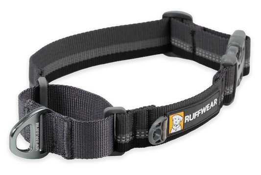 Web Reaction Martingale Dog Collar Balsalt Gray | Ruffwear