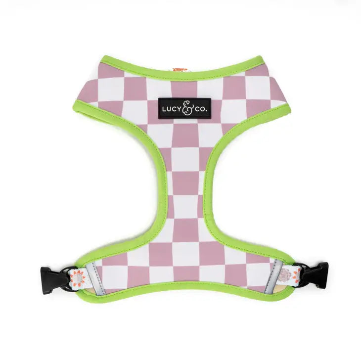 Checked Out Reversible Harness | Lucy & Co