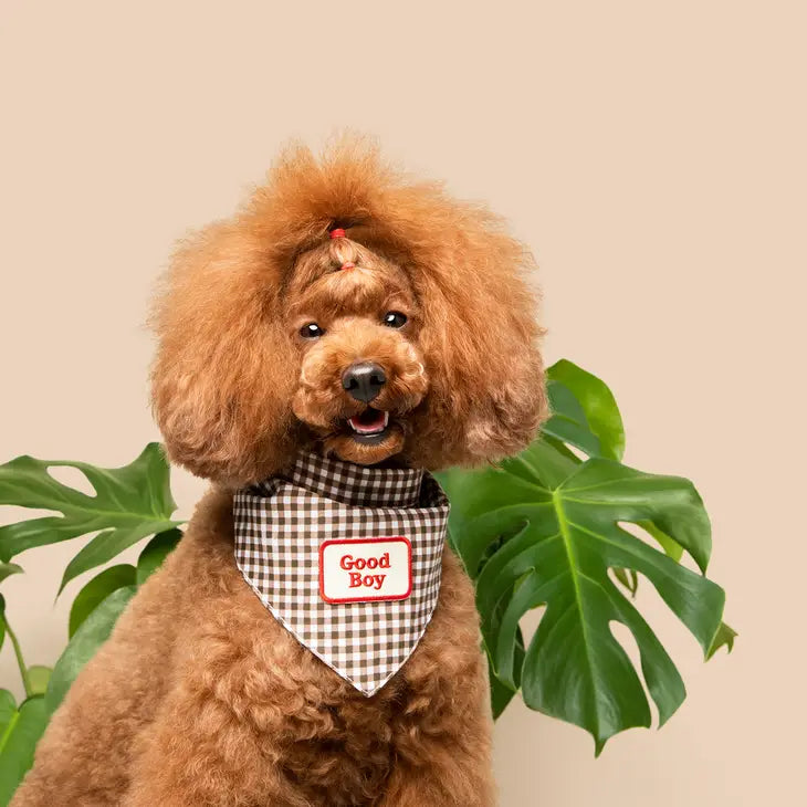 Good Boy Bandana Patch | Scout's Honour