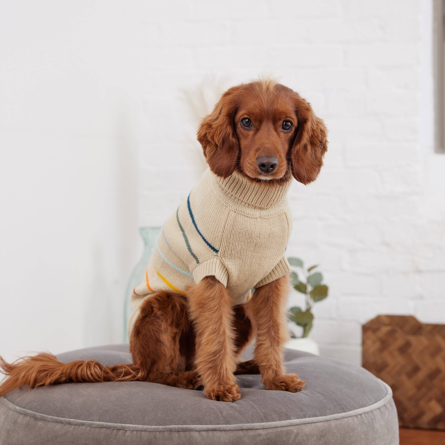 Arctic Sweater by GF Pet