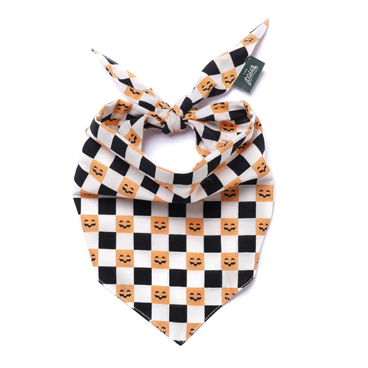 Trick or Treat Halloween Bandana