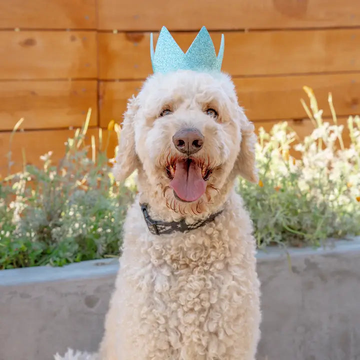 Blue Party Crown