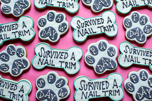 Iced Cookies by Maci