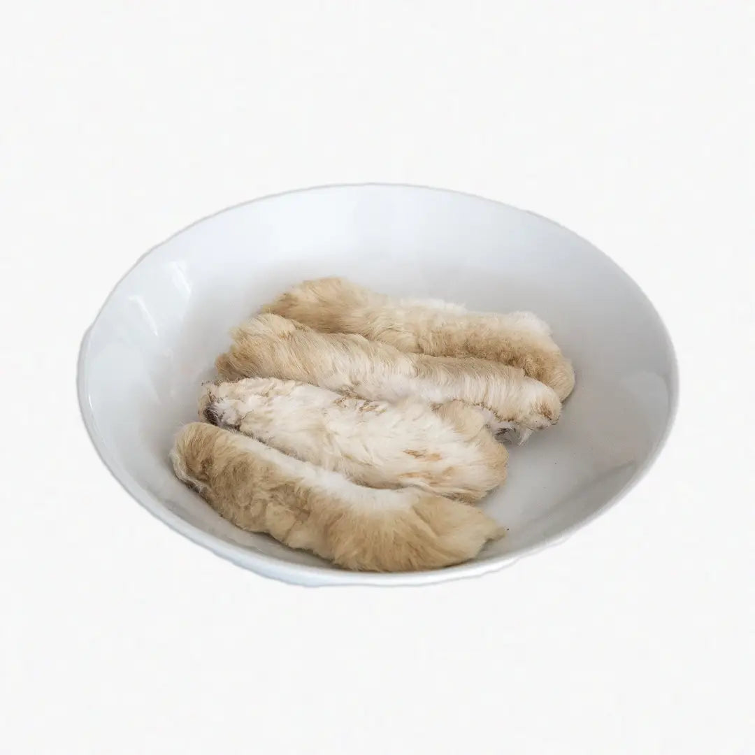 Rabbit Foot