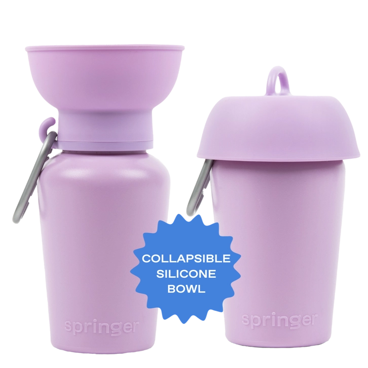 Springer Travel Bottle | Dog Travel Water Bottle | Flip 20 oz