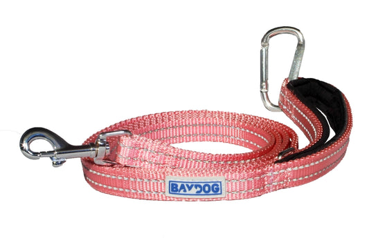 Pink Lemonade Pensacola Bay Dog Leash