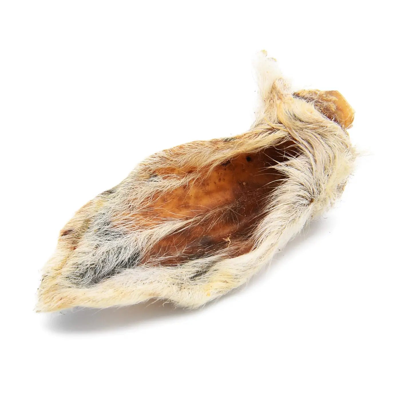 Hairy Lamb Ears