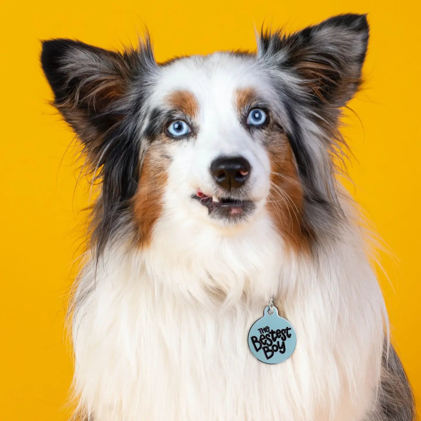 Bad Tag "The Bestest Boy" - Dog ID Tag & Collar Charm