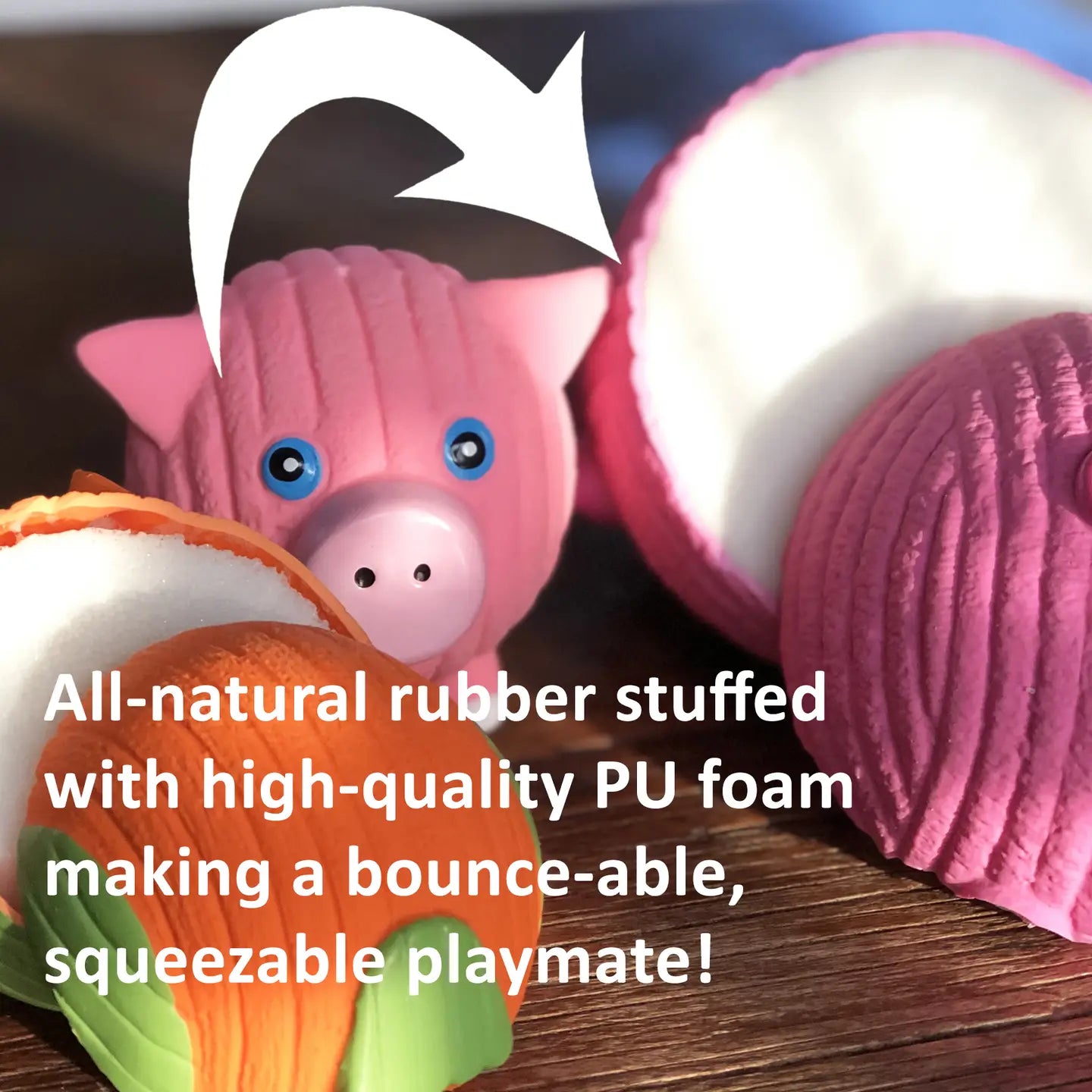 Reggie Raccoon Dog Toy