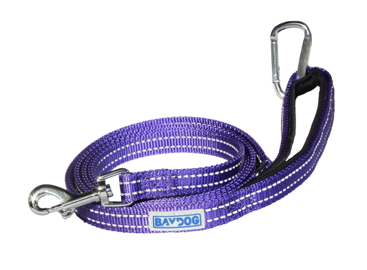 Lavender Pensacola Bay Dog Leash