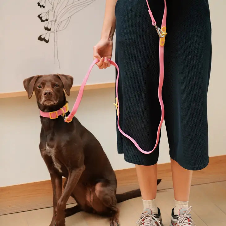 The Fritz Leash | Pink