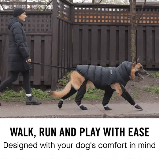 Black Suspender Boots- Dog Boots | Canada Pooch