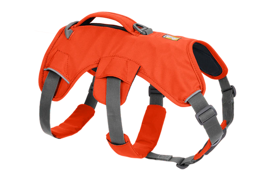 Webmaster Harness Blaze Orange | Ruffwear
