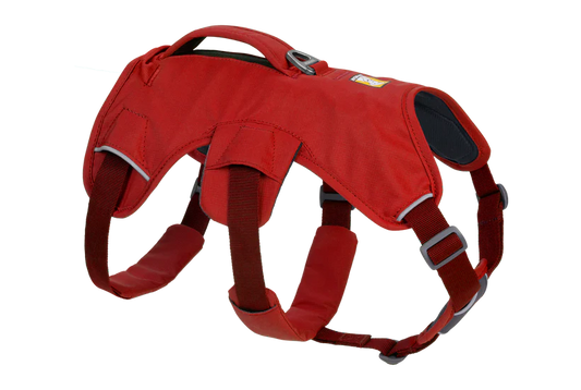 Webmaster Harness Red Sumac