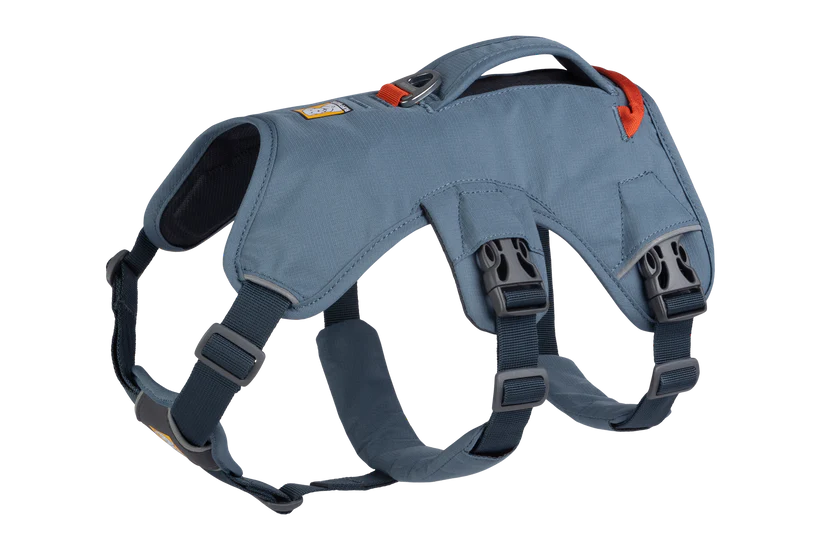 Webmaster Harness Slate Blue | Ruffwear