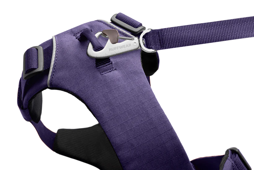 Front Range Harness Purple Sage