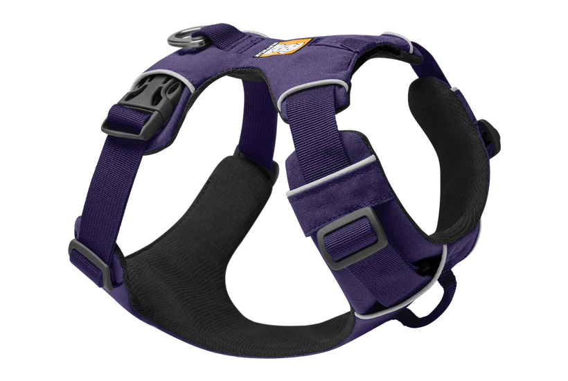 Front Range Harness Purple Sage