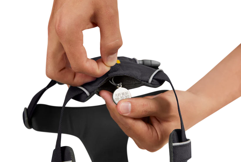 Front Range Harness Basalt Gray | Ruffwear