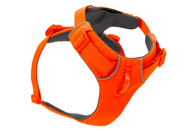 Front Range Harness Blaze Orange | Ruffwear
