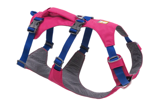 Apenglow Pink Flagline Dog Harness | Ruffwear