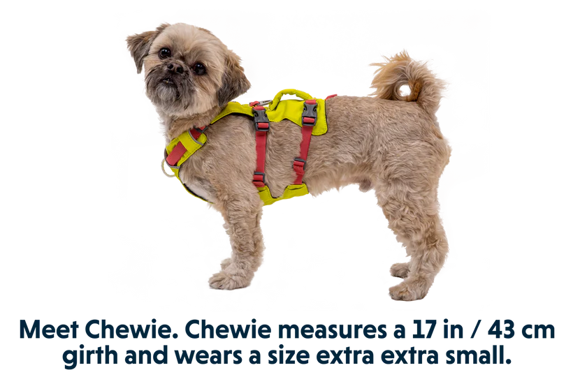 Basalt Gray Flagline Dog Harness | Ruffwear