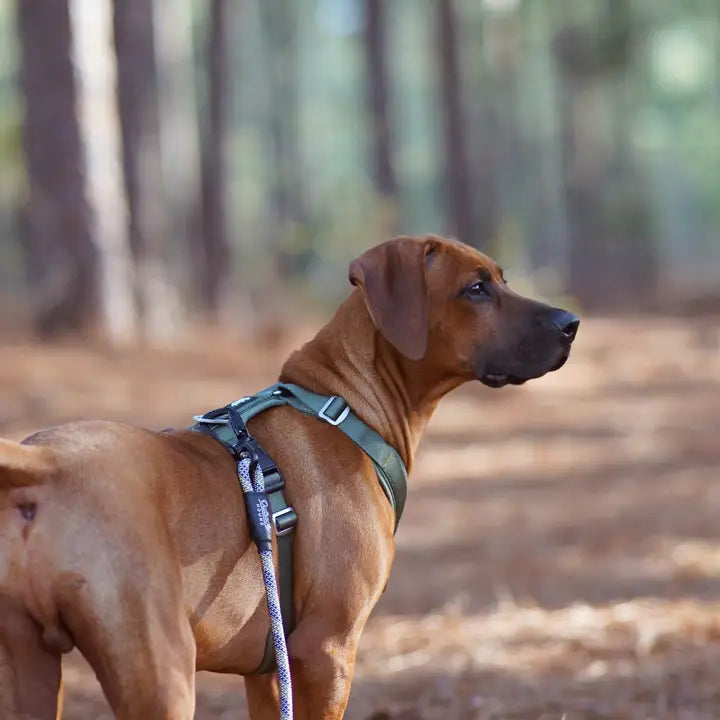 Outback Hound Ultra Lite Ranger Green Comfort Harness