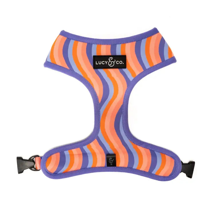 Let's Groove Reversible Harness | Lucy & Co