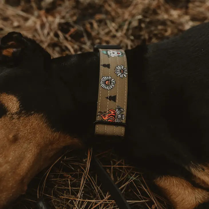 Outback Hound National Barks Trail Collar