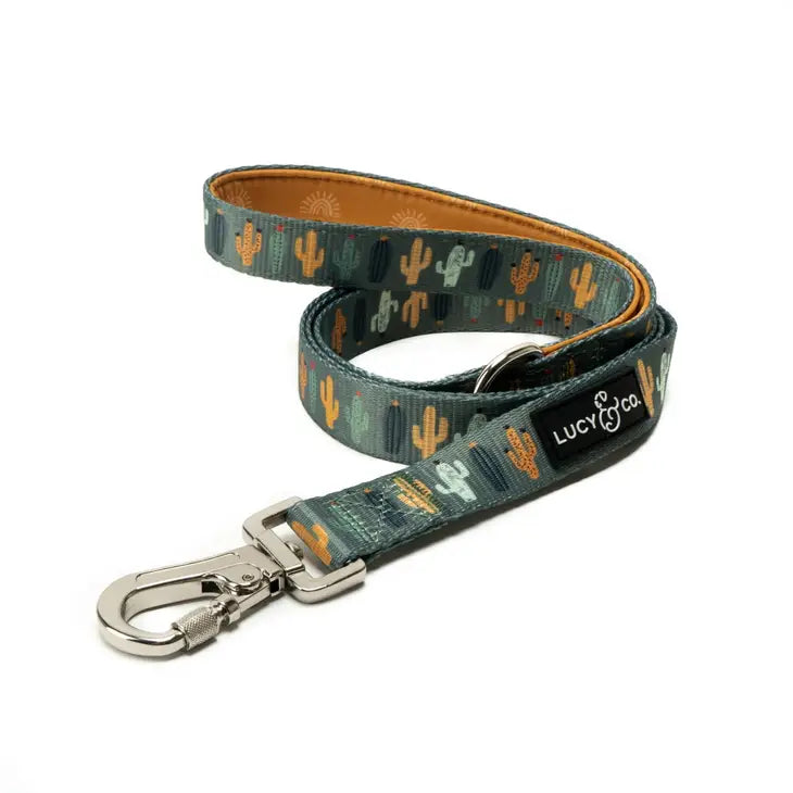 Looking Sharp Collar | Lucy & Co