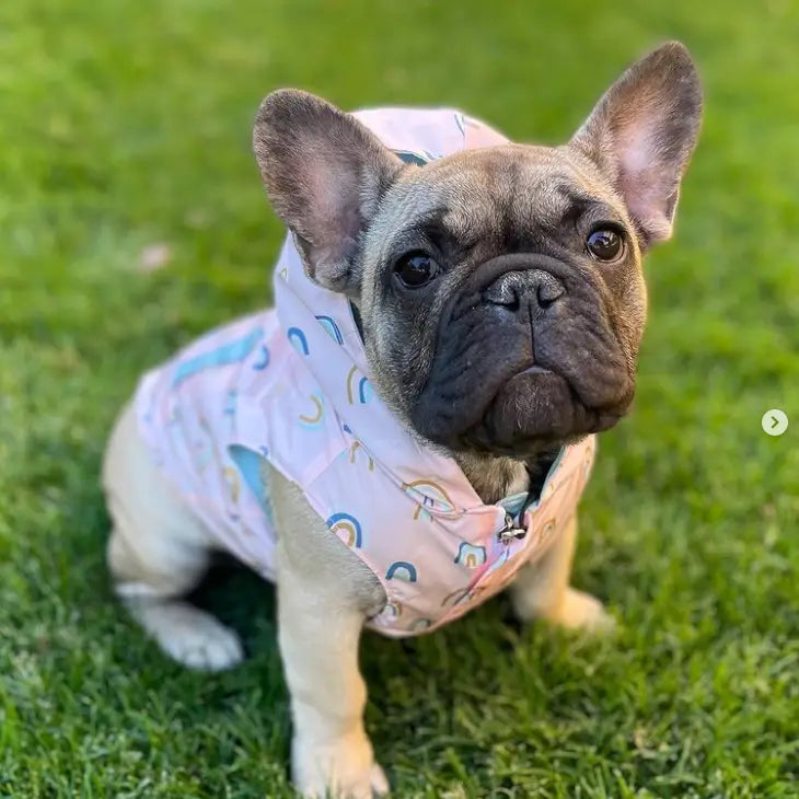 In The Clouds Reversible Raincoat | Lucy & Co