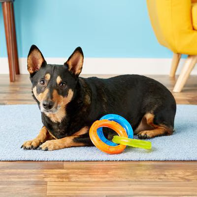 NerfDog TPR 3-Ring Tug