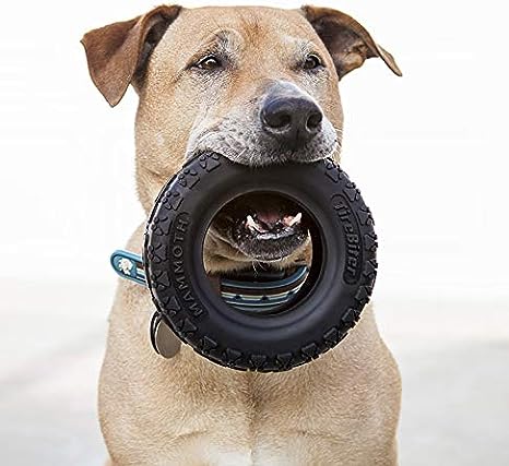 Rubber Tire | Mammoth