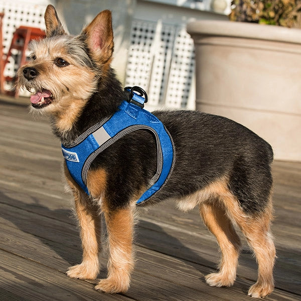 Pink Lemonade Liberty Bay Dog Harness