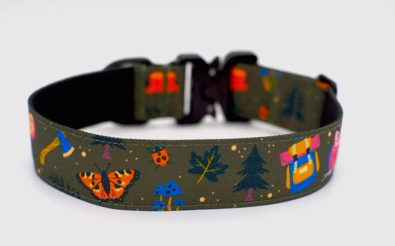 Outback Hound Enchanted Forest Dog Collar