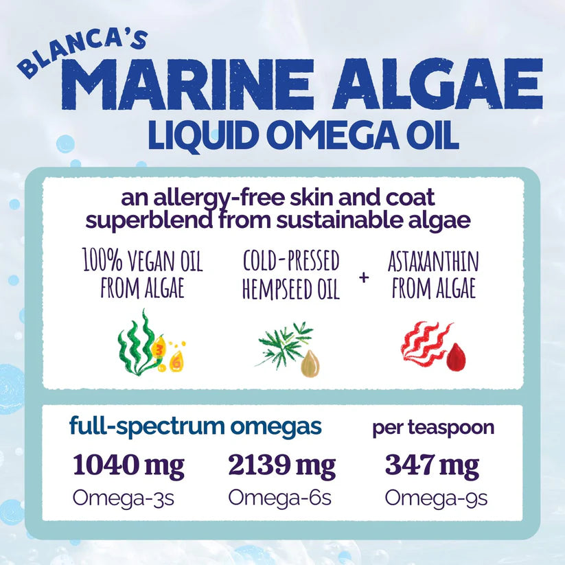 Austin & Kat Marine Algae Oil