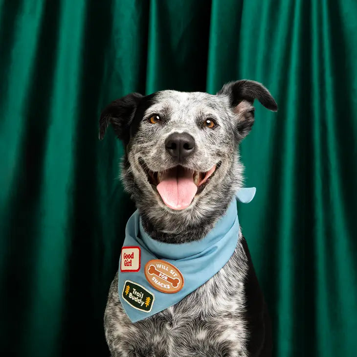 Good Girl Bandana Patch | Scout's Honour