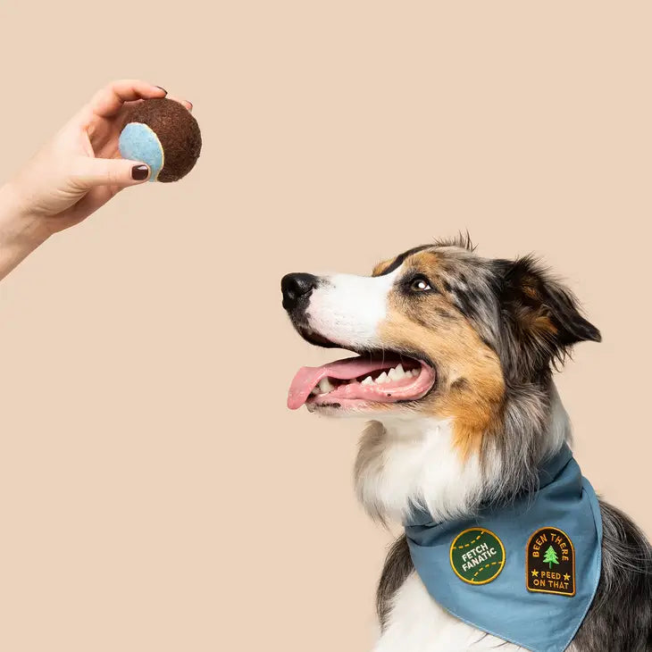 Fetch Fanatic Bandana Patch | Scout's Honour