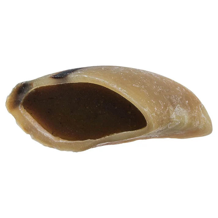Beef Filled Hoof
