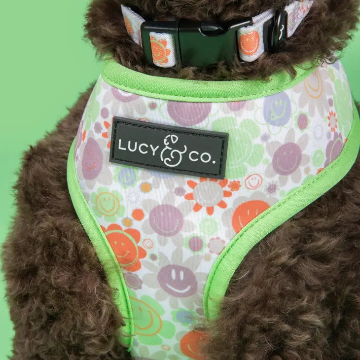 Checked Out Reversible Harness | Lucy & Co