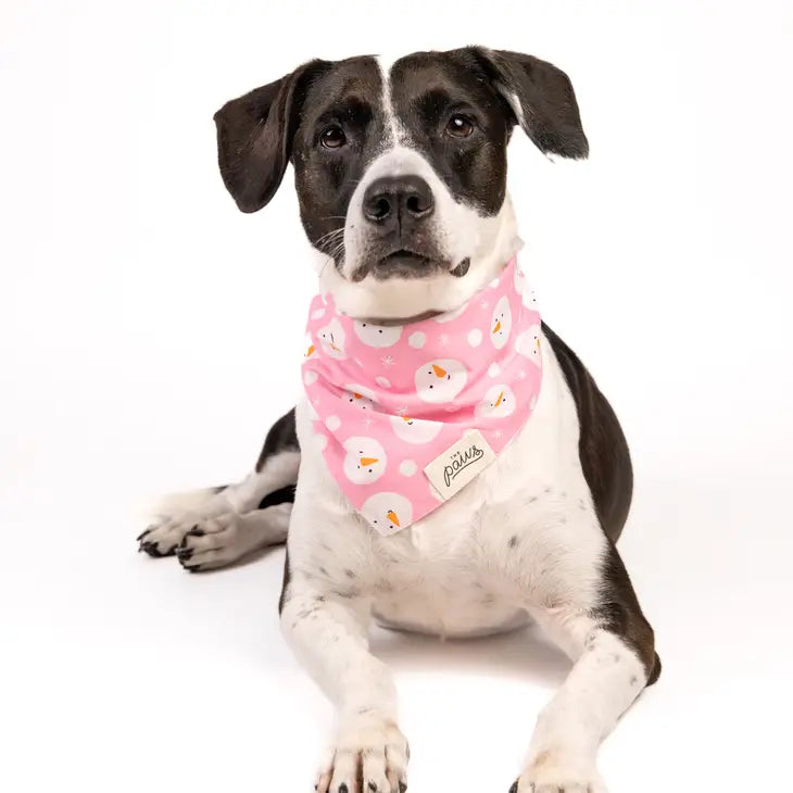 Snowball Bandana