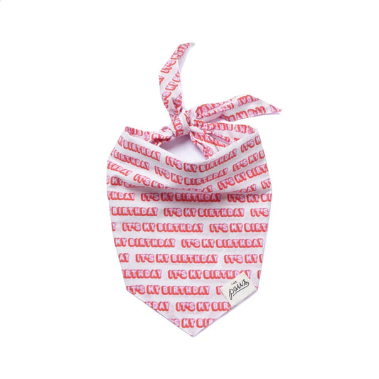 It's My Birthday Pink Dog Bandana | The Paws