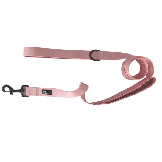 Bubblegum Traffic Lead Leash by Big Dog & Skippy