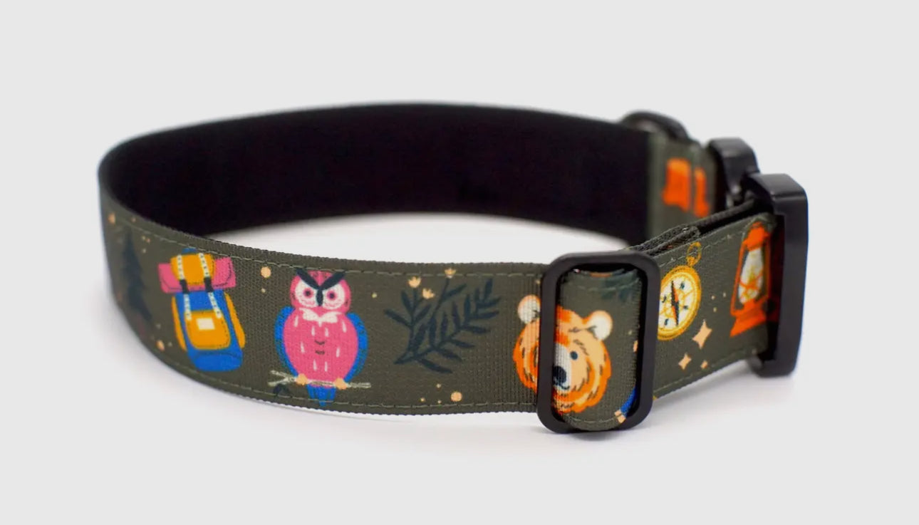 Outback Hound Enchanted Forest Dog Collar
